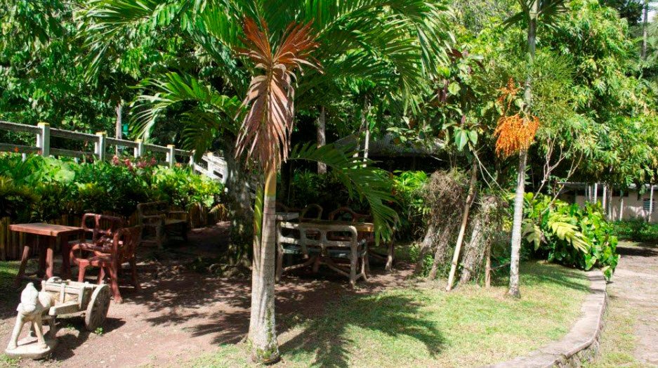 Castleton Botanical Gardens, Jamaica
